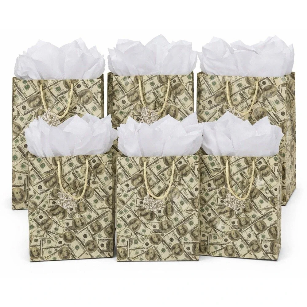 6 Pack Money Gift Bags w/ Tissue Paper 13x10x5 Birthday Graduation Holidays